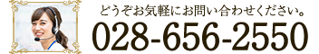 028-656-2550